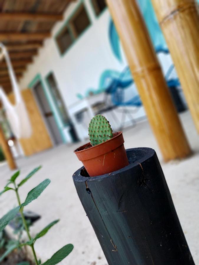 Flor De Bambu Uvita Exterior foto